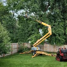 Mulching Services in Panther Valley, NJ